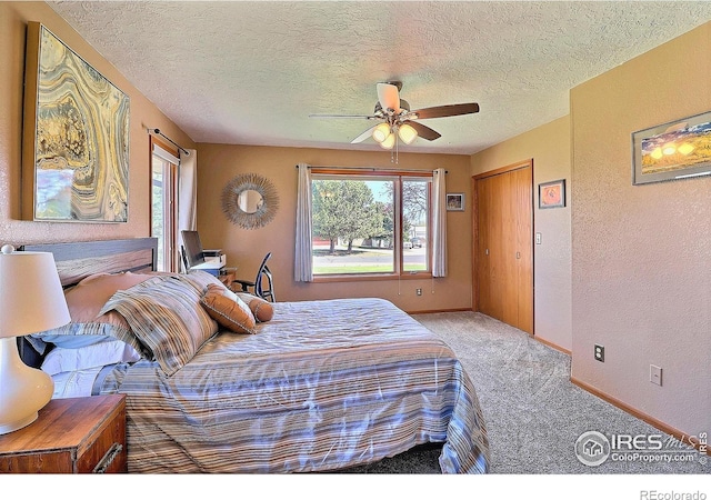 5532 Pawnee Ln, Greeley, CO 80634 - photo 24