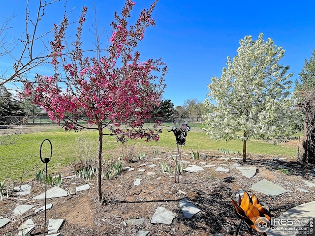 5532 Pawnee Ln, Greeley, CO 80634 - photo 38