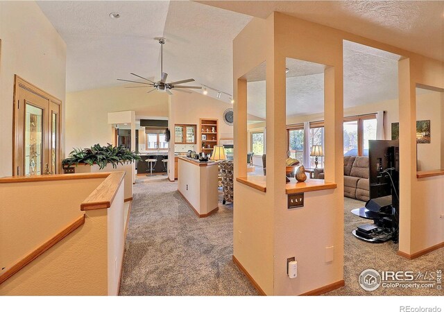 5532 Pawnee Ln, Greeley, CO 80634 - photo 8