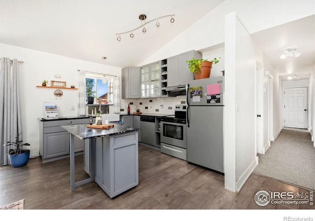 7859 Whitetail Cir, Wellington, CO 80549 - kitchen featuring appliances with stainless steel finishes, open shelves, gray cabinetry, extractor fan, and wood finished floors