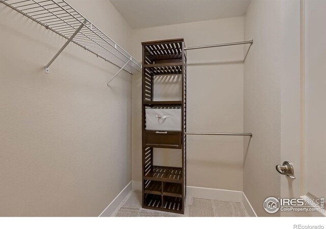 8482 Parkland St, Broomfield, CO 80021 - spacious closet with carpet flooring