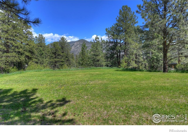 234 Deer Ln, Lyons, CO 80540 - photo 3