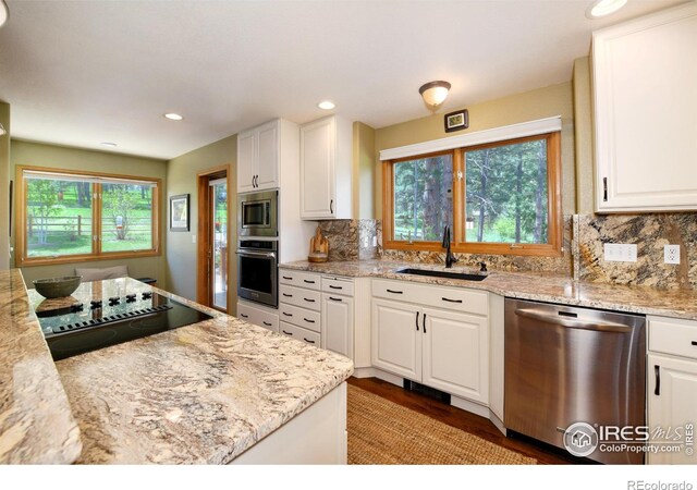 234 Deer Ln, Lyons, CO 80540 - photo 5