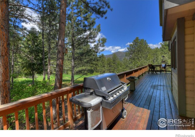 234 Deer Ln, Lyons, CO 80540 - photo 9