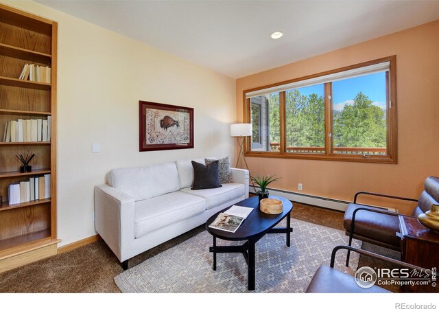 234 Deer Ln, Lyons, CO 80540 - photo 15