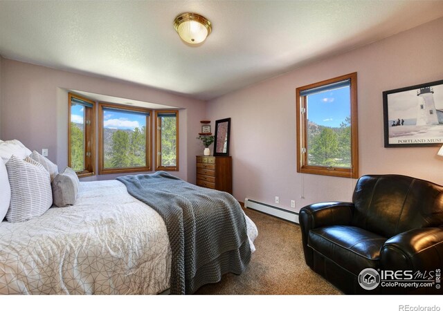 234 Deer Ln, Lyons, CO 80540 - photo 27