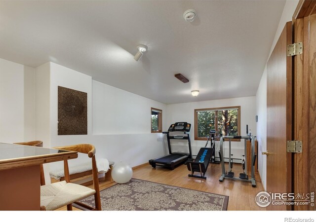234 Deer Ln, Lyons, CO 80540 - photo 29