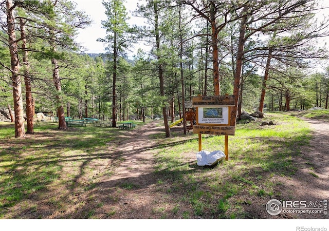 234 Deer Ln, Lyons, CO 80540 - photo 39
