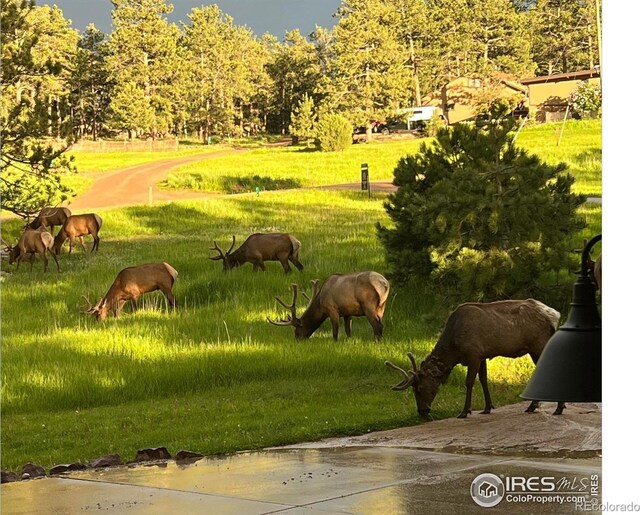 234 Deer Ln, Lyons, CO 80540 - photo 35