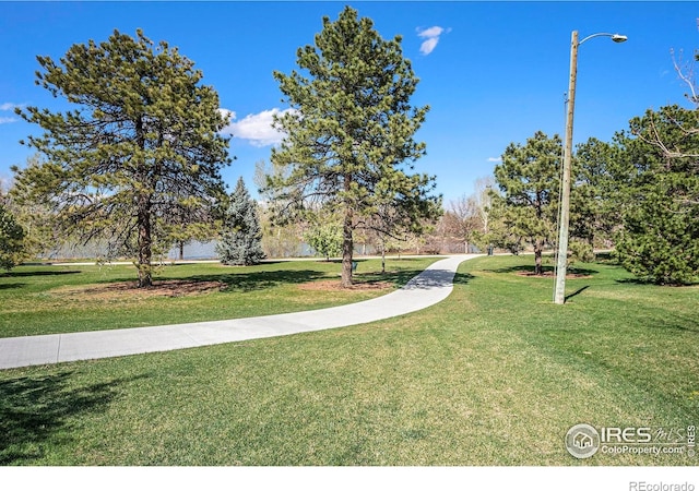 2566 S Stuart St, Denver, CO 80219 - view of property's community with a yard