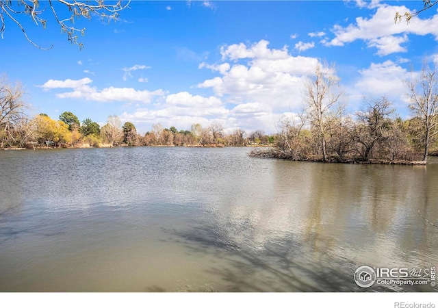 2566 S Stuart St, Denver, CO 80219 - water view