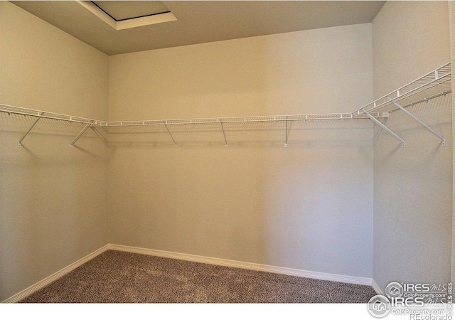 1693 Grand Ave Unit 1, Windsor, CO 80550 - walk in closet featuring carpet