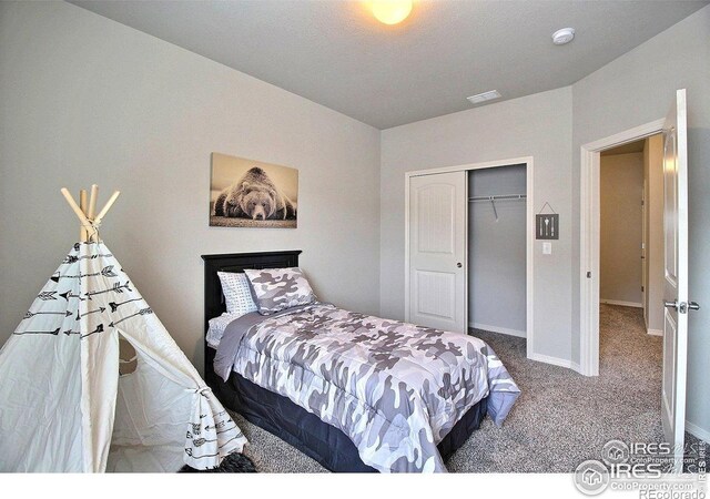 1693 Grand Ave Unit 1, Windsor, CO 80550 - bedroom featuring carpet floors, a closet, and baseboards