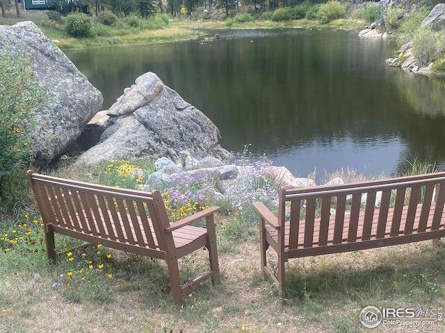741 Hickory Dr, Lyons, CO 80540 - property view of water