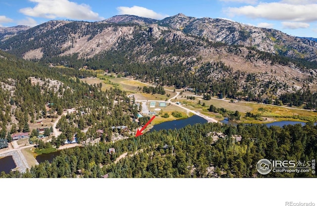 741 Hickory Dr, Lyons, CO 80540 - view of mountain feature featuring a wooded view and a water view