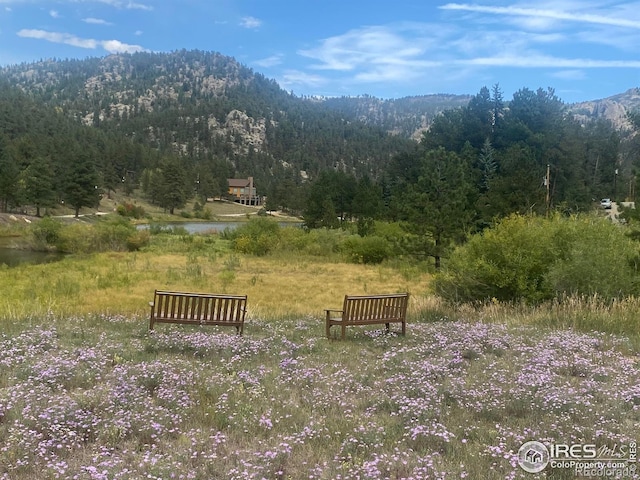 741 Hickory Dr, Lyons, CO 80540 - exterior space with a wooded view and a water view
