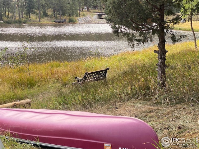 741 Hickory Dr, Lyons, CO 80540 - view of community featuring a water view
