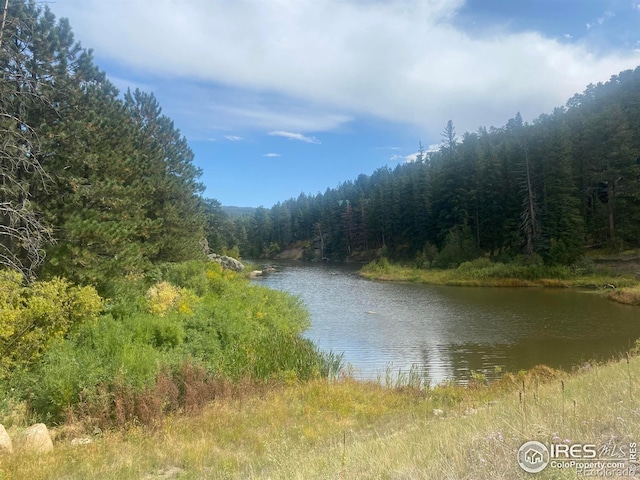 741 Hickory Dr, Lyons, CO 80540 - water view featuring a view of trees