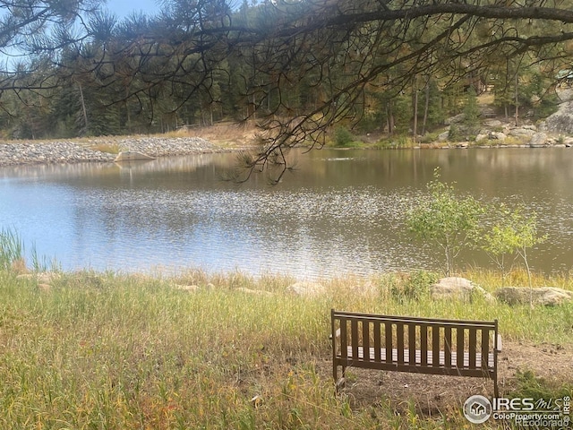 741 Hickory Dr, Lyons, CO 80540 - water view