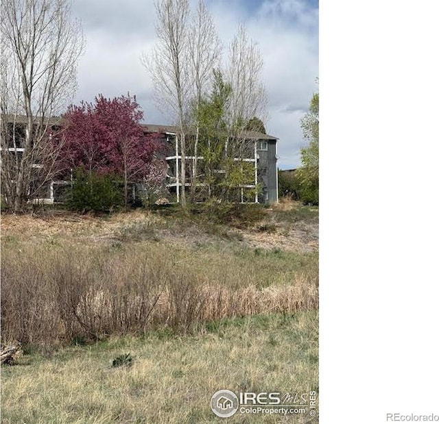 1684 Riverside Ave Unit 8, Fort Collins, CO 80525