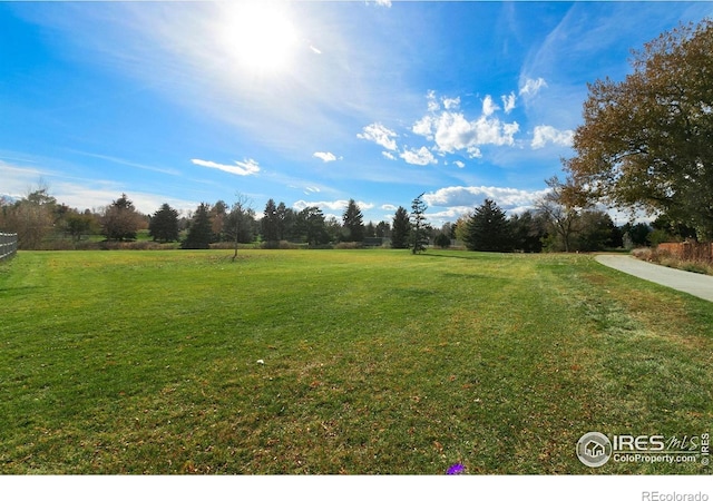 1684 Riverside Ave Unit 8, Fort Collins, CO 80525