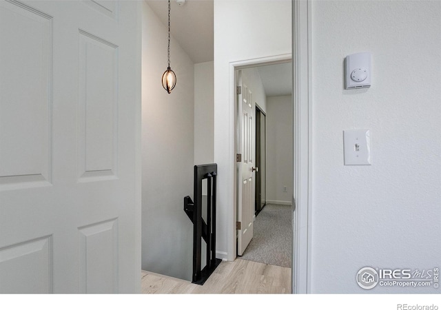 3200 Azalea Dr Unit 5, Fort Collins, CO 80526 - hallway featuring light wood-style floors and baseboards