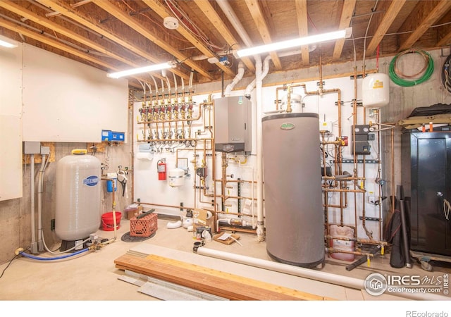 91 Eagle Rising Pl, Livermore, CO 80536 - utility room featuring water heater
