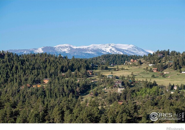 91 Eagle Rising Pl, Livermore, CO 80536 - view of mountain backdrop featuring a forest