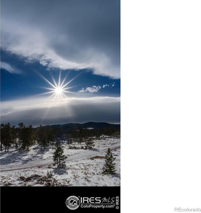 91 Eagle Rising Pl, Livermore, CO 80536 - mountain view