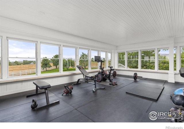 exercise room featuring plenty of natural light