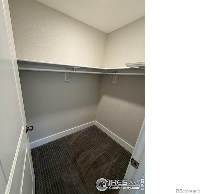 spacious closet featuring dark colored carpet