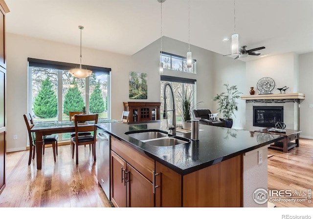 kitchen featuring a glass covered fireplace, dishwasher, light wood finished floors, and a sink