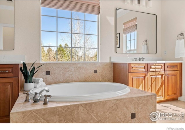 bathroom with a bath, vanity, and a wealth of natural light