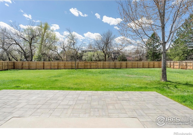 view of yard featuring a patio and a fenced backyard