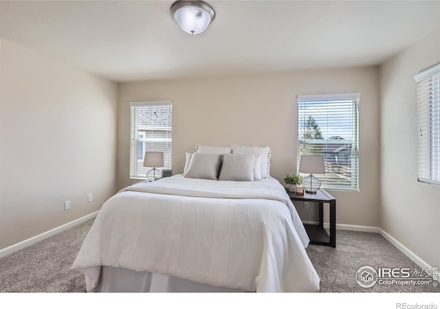 6219 W 14th Street Rd, Greeley, CO 80634 - photo 15