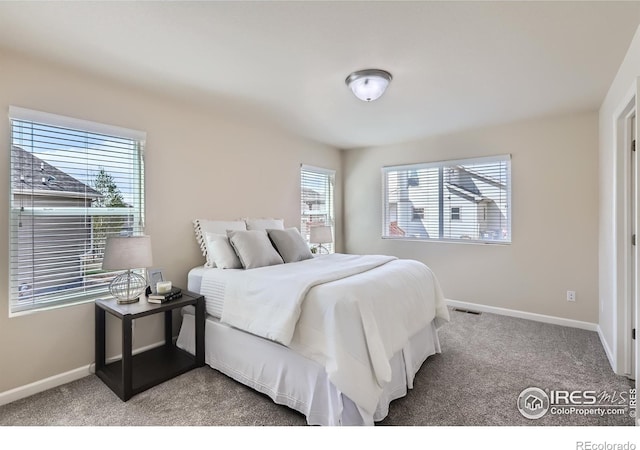 6219 W 14th Street Rd, Greeley, CO 80634 - photo 16