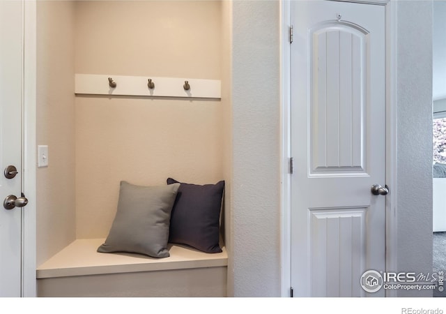 6219 W 14th Street Rd, Greeley, CO 80634 - photo 25