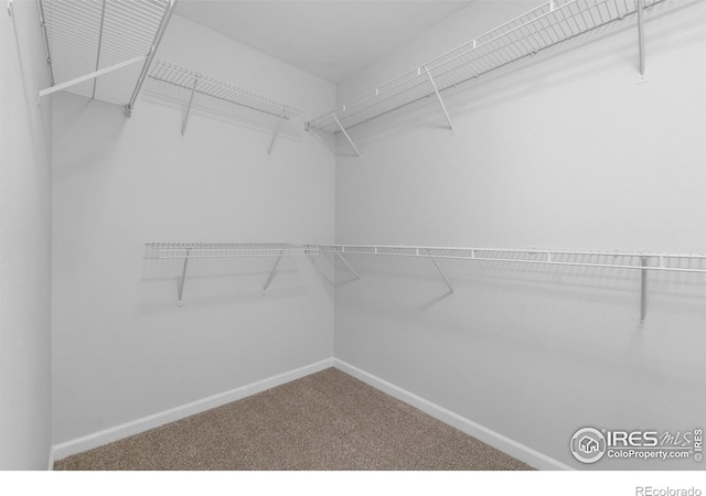 20336 Willowbend Ln, Parker, CO 80138 - spacious closet featuring carpet flooring
