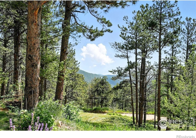74 Sky Trail Rd, Boulder, CO 80302 - view of mountain backdrop featuring a heavily wooded area