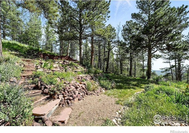 74 Sky Trail Rd, Boulder, CO 80302 - view of yard