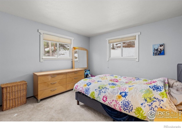 74 Sky Trail Rd, Boulder, CO 80302 - bedroom featuring light colored carpet