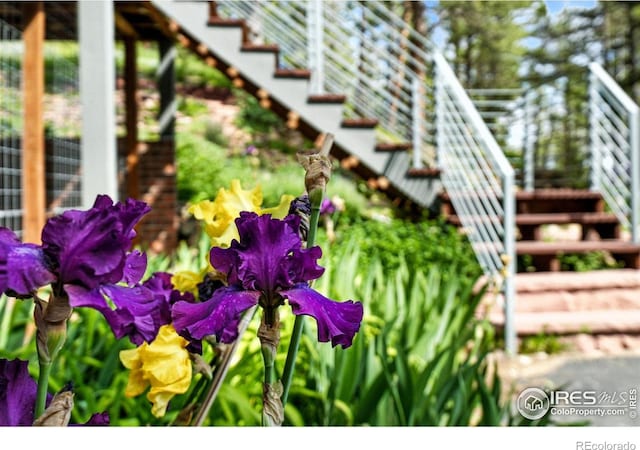 74 Sky Trail Rd, Boulder, CO 80302 - exterior view of stairway