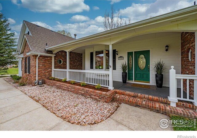 view of exterior entry with roof with shingles, covered porch, and brick siding