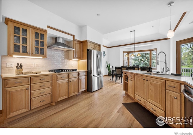 kitchen with wall chimney range hood, a sink, light wood finished floors, stainless steel appliances, and decorative backsplash