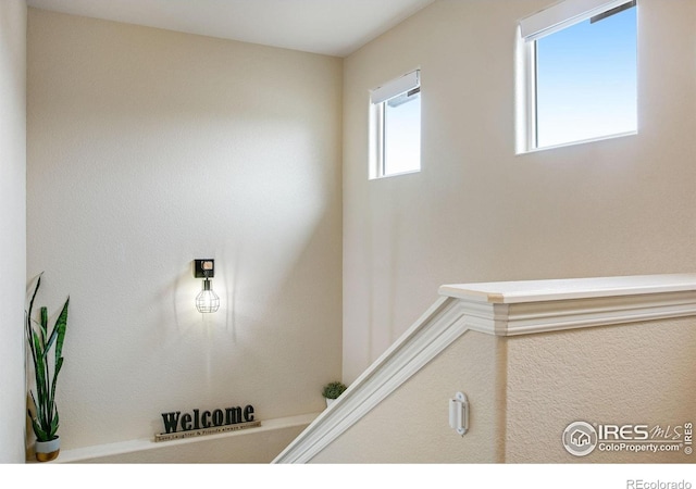 1484 Moraine Valley Dr, Severance, CO 80550 - interior space
