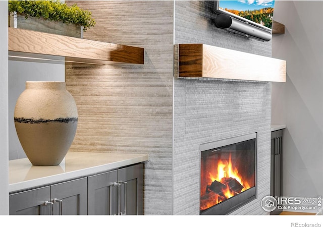 room details with a glass covered fireplace