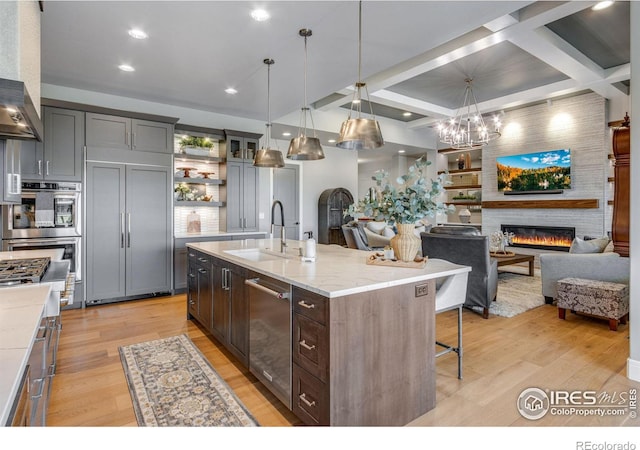 kitchen featuring light wood-style flooring, stainless steel appliances, a sink, and a fireplace