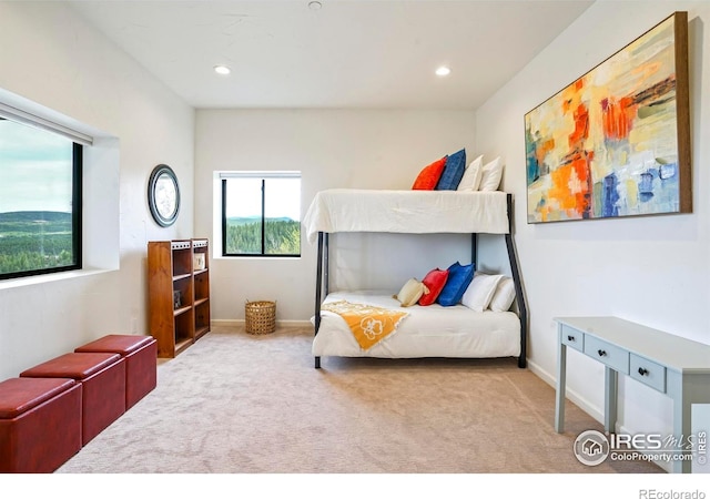 4 Dill Pickle Pl, Black Hawk, CO 80422 - bedroom with carpet, recessed lighting, and baseboards