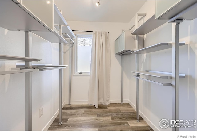 walk in closet with light wood finished floors