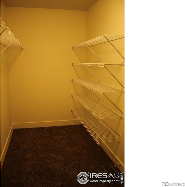 8710 8th St, Greeley, CO 80634 - walk in closet with carpet flooring